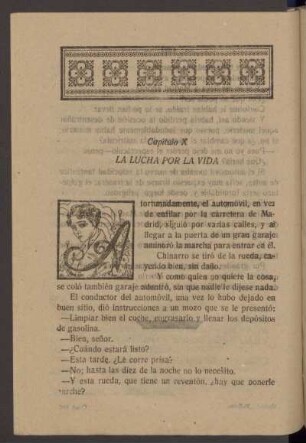 Capítulo X - La lucha por la vida