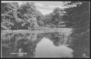 Muskau. Eichsee