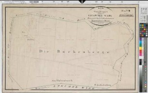 Seppenrade (Lüdinghausen), Teilung der Leversumer Mark, Brouillonkarte Bl.3 Steinberg