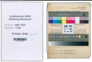 Entnazifizierung Sofie Schaller , geb. 15.01.1902 ()