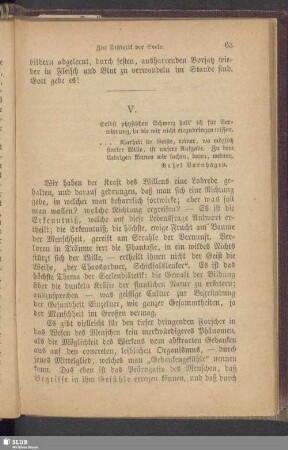 V. Verstand, Bildung