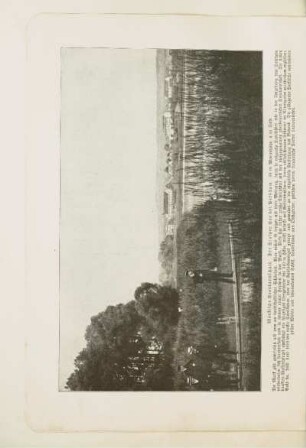Märkische Seenlandschaft. Der Stolper See bei Potsdam