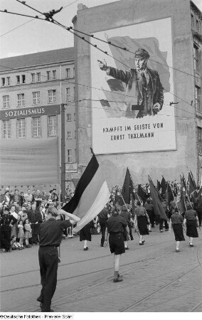 Demonstrationszug - Fahnenträger