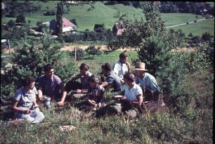 Getreideernte im Dreisamtal