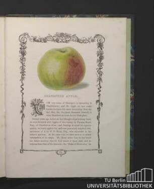 Shakspere [!] Apple.