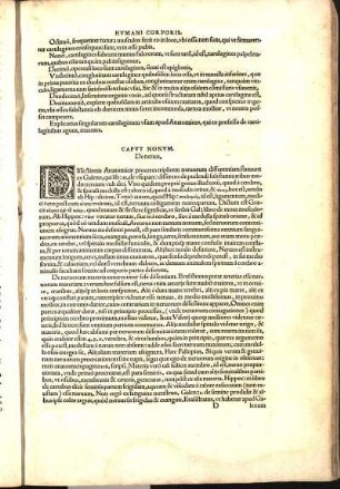 Capvt Nonvm, De neruis.