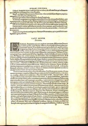 Capvt Nonvm, De neruis.