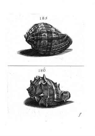 185. - 186.