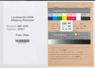 Entnazifizierung Elias Peter, geb. 27.11.1906 (Steiger)