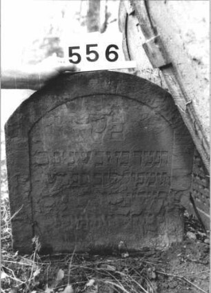 Grabstein 556