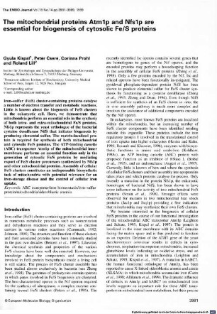 The mitochondrial proteins Atm1p and Nfs1p are essential for biogenesis of cytosolic Fe/S proteins