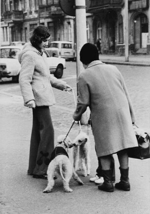 Zwei Hundehalterinnen treffen auf der Straße aufeinander