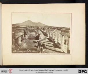 102. Pompei. Forum