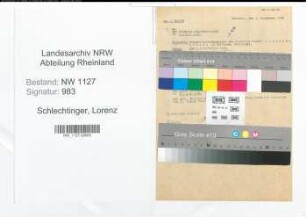 Entnazifizierung Lorenz Schlechtinger , geb. 00.00.0000 (Landwirt)