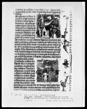 Avenares, Astrologische Handschrift — Buchseite mit Konstellationen der Sternbilder, Folio 17recto