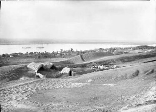 Lom: Donaulandschaft mit Schafhütten