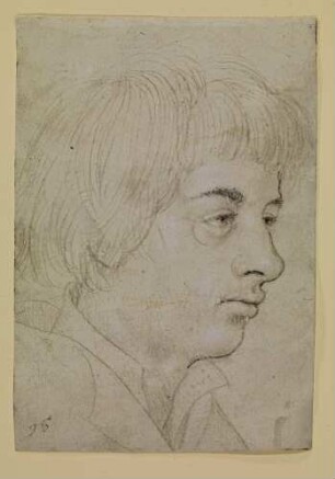 Bildnis eines Jünglings (Anton Fugger?)