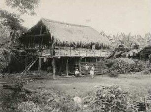 Indianer-Hütte im Küstenland, daneben Bananenpflanzung