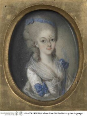 Bildnis der Marie-Louise von Savoyen-Carignan, Prinzessin von Lamballe