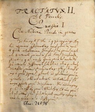 Tractatus de peccatis - BSB Clm 28098