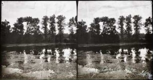 Teich bei Chaville