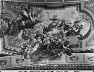 Die Himmelfahrt Mariens