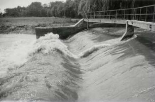 Wehr bei Großzschocher (Schönen), 18. Juli, 1 Woche nach Höchststand, Hochwasser Juli 1954