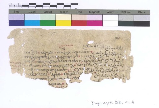 Pentateuch Genesis V, 16 - 19