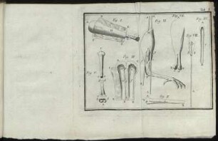 (Kupferst.) Tab. I : Fig. I – Fig. VIII