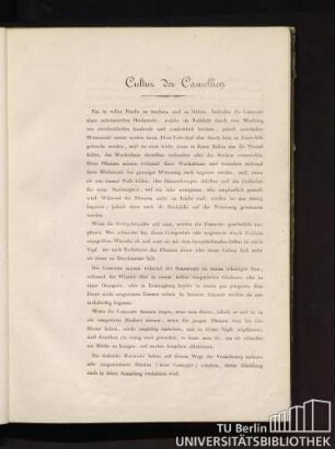 Cultur der Camellien.