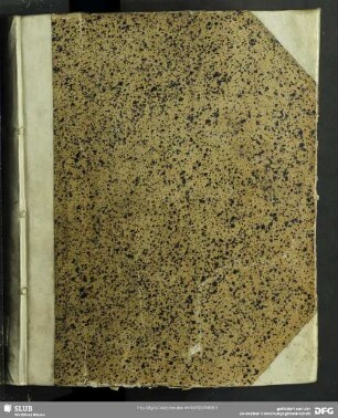 Mémoire Des Ambassadeurs & Plénipotentiaires des Princes Protestans, en faveur des Eglises Réformées de France