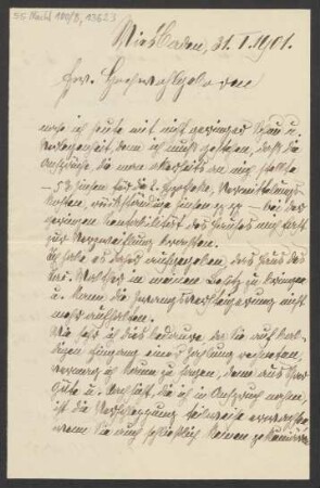 Brief an Mariette von Roell : 31.01.1901