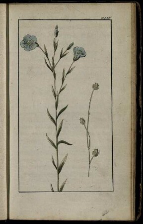 Ein und zwanzigstes Stück. Sonnabends, den 21sten Mai 1797