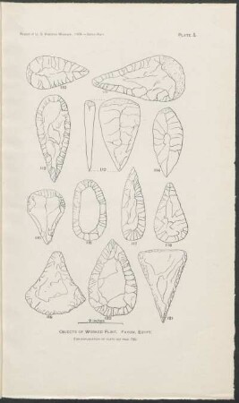 Plate 5. - Objects of worked flint. Fayum, Egypt.