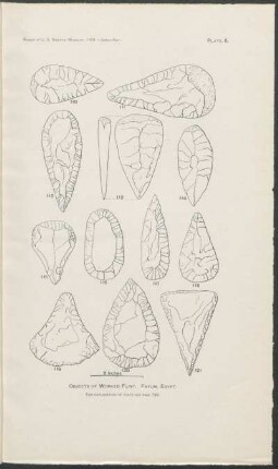 Plate 5. - Objects of worked flint. Fayum, Egypt.