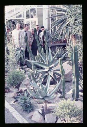 Botanischer Garten 3.7.55.