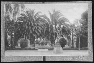 Los Angeles. St. James Park, Los Angeles, Cal.