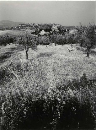 Blick auf Orvieto