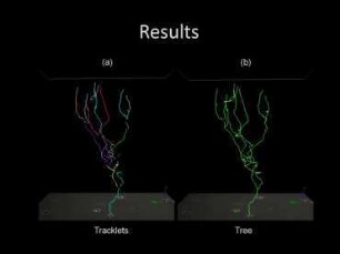 Tracking a Large Number of Migrating and Proliferating Cells in Time-Lapse Microscopy Imagery