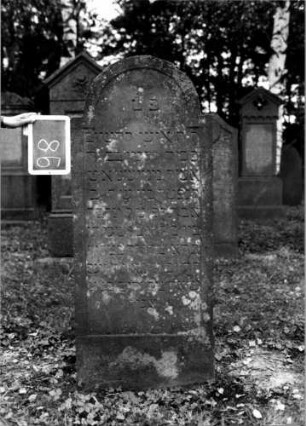 Grabstein 98 (Index: 100111203) Material: Sandstein Zustand: gut Maße HxBxT: 144x62x15 cm Beschreibung: Stele, eingezogener Rundbogenabschluß, Schriftfeld eingetieft: Grabstein 98