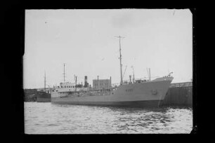 Nady (1944), Elbe
