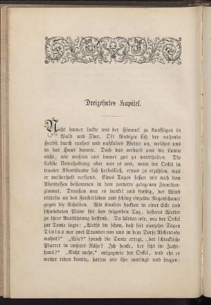 Dreizehntes Kapitel.