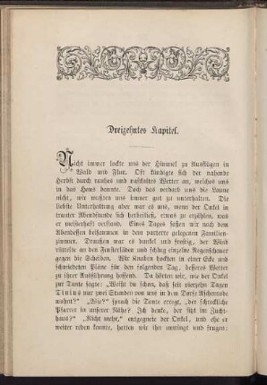 Dreizehntes Kapitel.