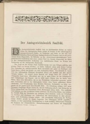 Der Amtsgerichtsbezirk Saalfeld. [Einleitung]