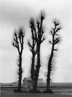 Landschaft, Flandern, Belgien