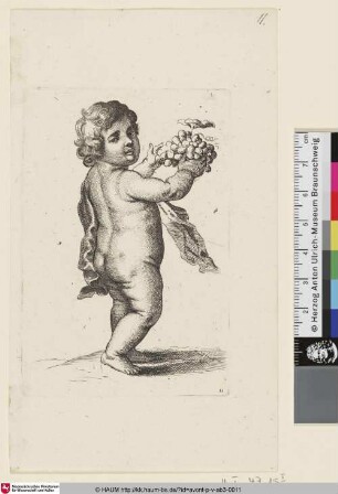 [Stehender Putto nach rechts, den Kopf zum Betrachter gewandt]