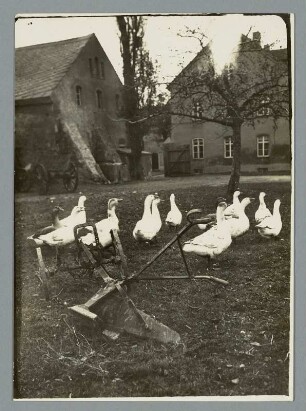 Vorm Gutshoftor