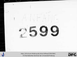 MF Mau 2599