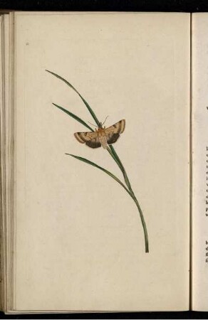 Pl. 61 [bis] Pl. 72 [Pl. siehe arbabische Paginierung]