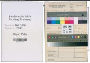 Entnazifizierung Peter Heyer , geb. 06.01.1906 (Steuerinspektor)